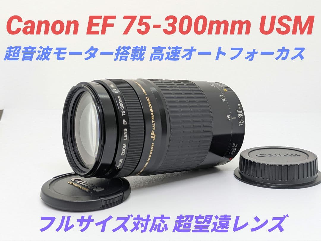 12月10日限定セール【超望遠レンズ】Canon EF 75-300mm USM