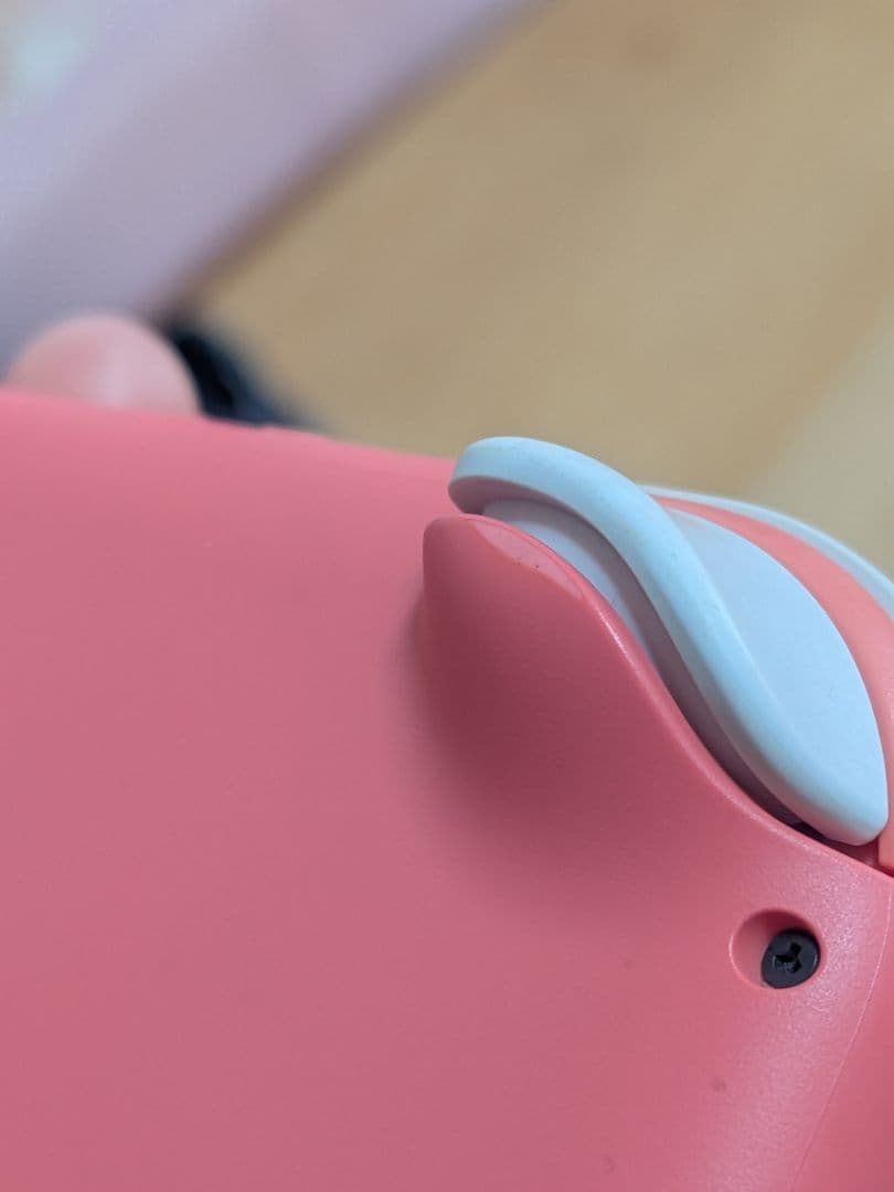 【2022年製】ニンテンドースイッチライト本体 充電器付き