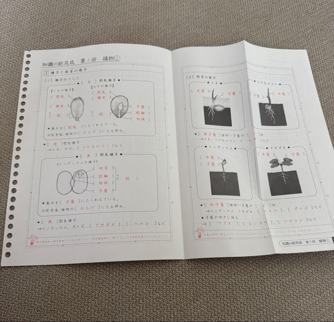 サピックス　知識の総完成　理科　6年生総まとめ　欠番なし