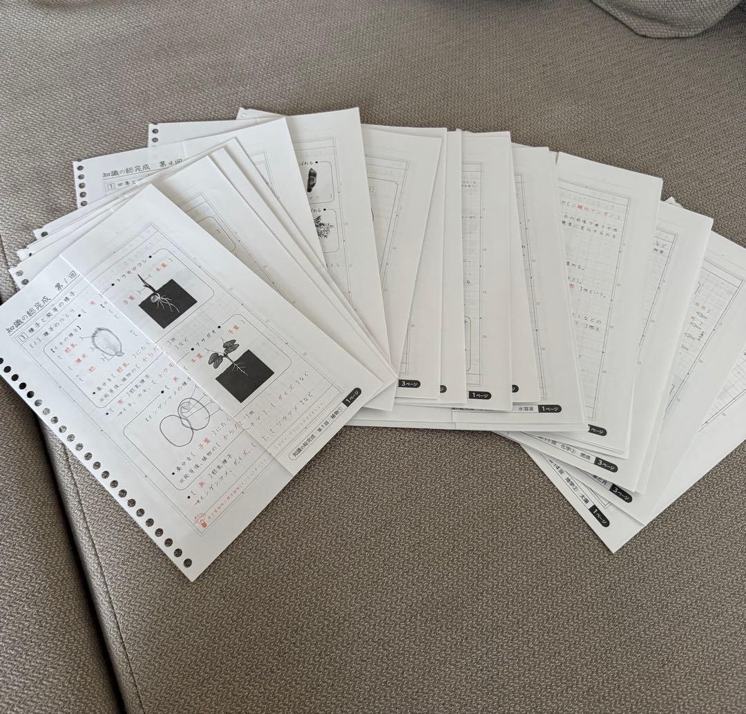 サピックス　知識の総完成　理科　6年生総まとめ　欠番なし