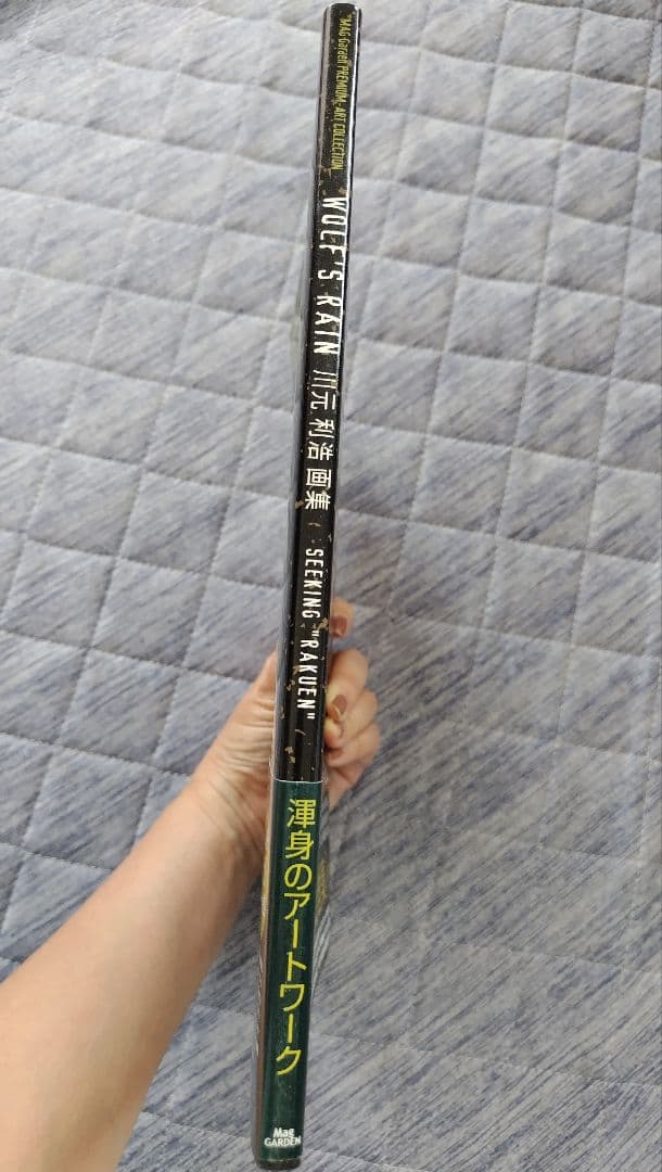 ウルフズレイン : シーキング\"楽園\" : 川元利浩画集