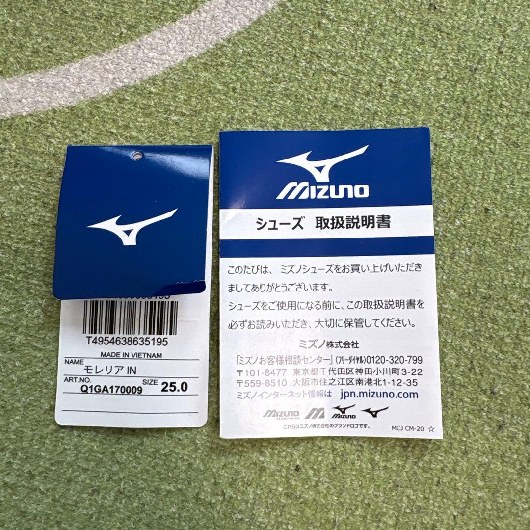 MIZUNO モレリアIN 25.0cm