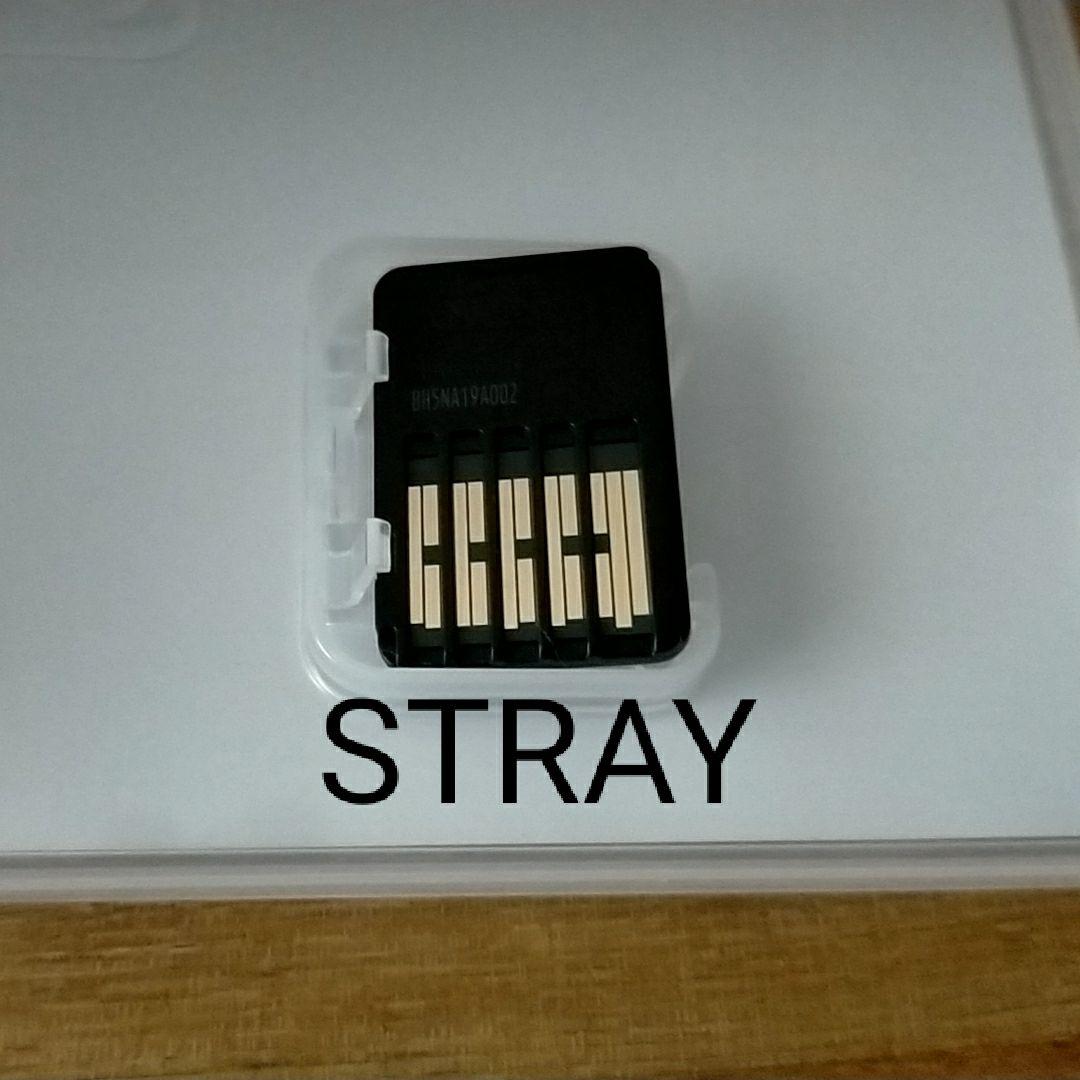 Little Kitty BIG CITYとSTRAY