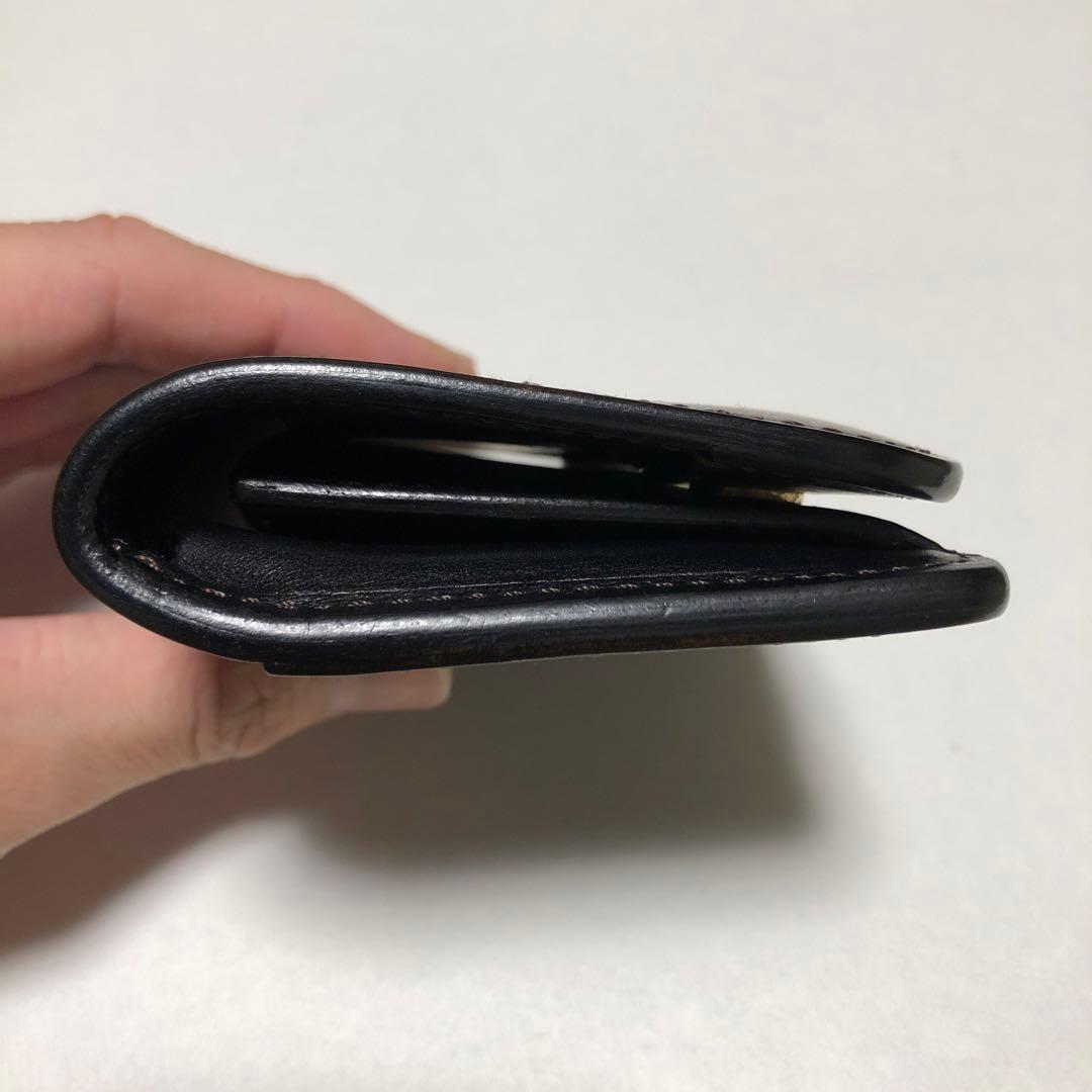 ワイルドスワンズ　パーム　シェルコードバン