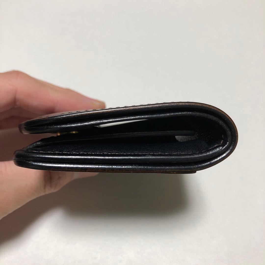 ワイルドスワンズ　パーム　シェルコードバン