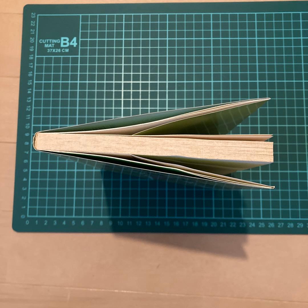 <図解>誰にでもできる気功健康法 : 一週間でマスターできる「通天貫地功法」