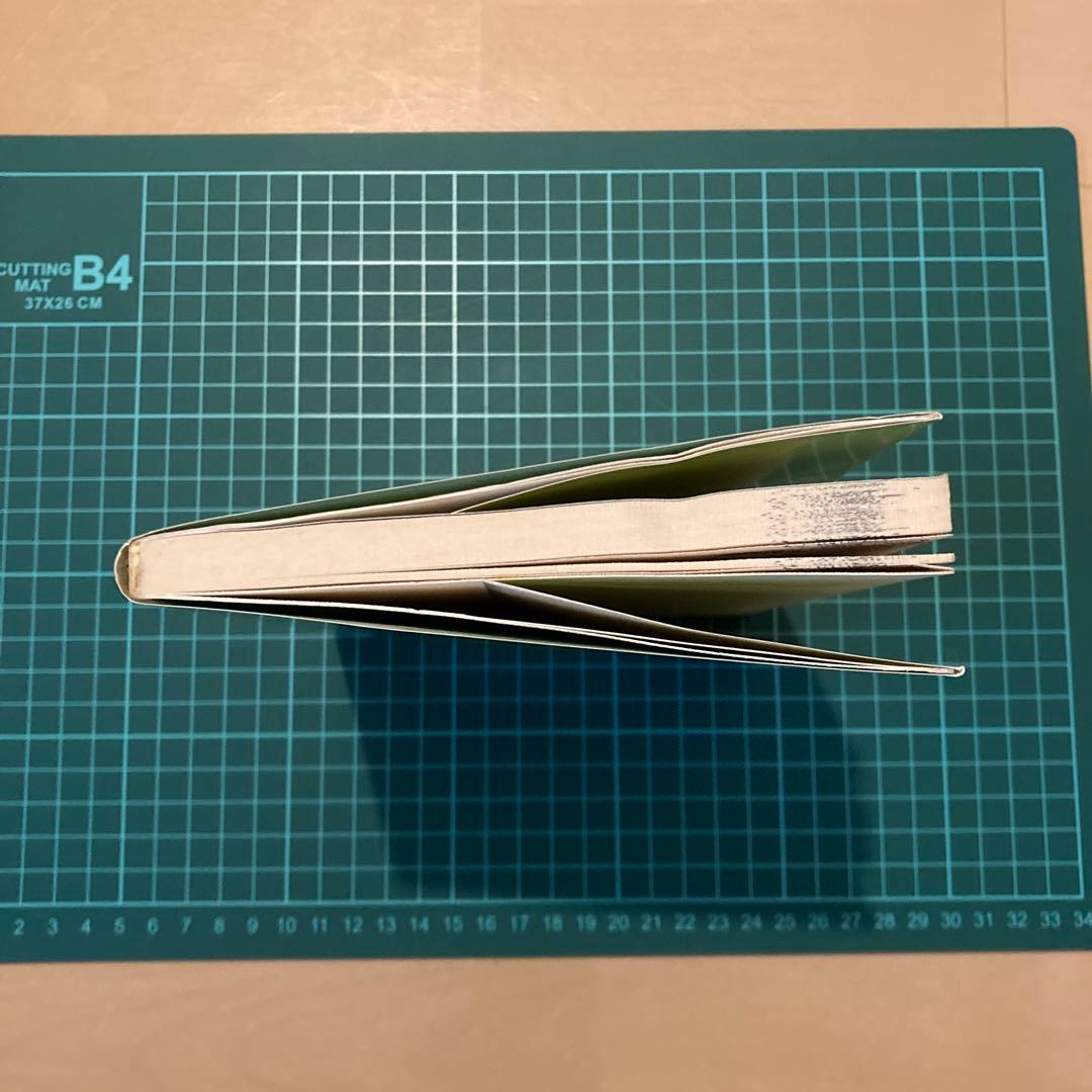 <図解>誰にでもできる気功健康法 : 一週間でマスターできる「通天貫地功法」