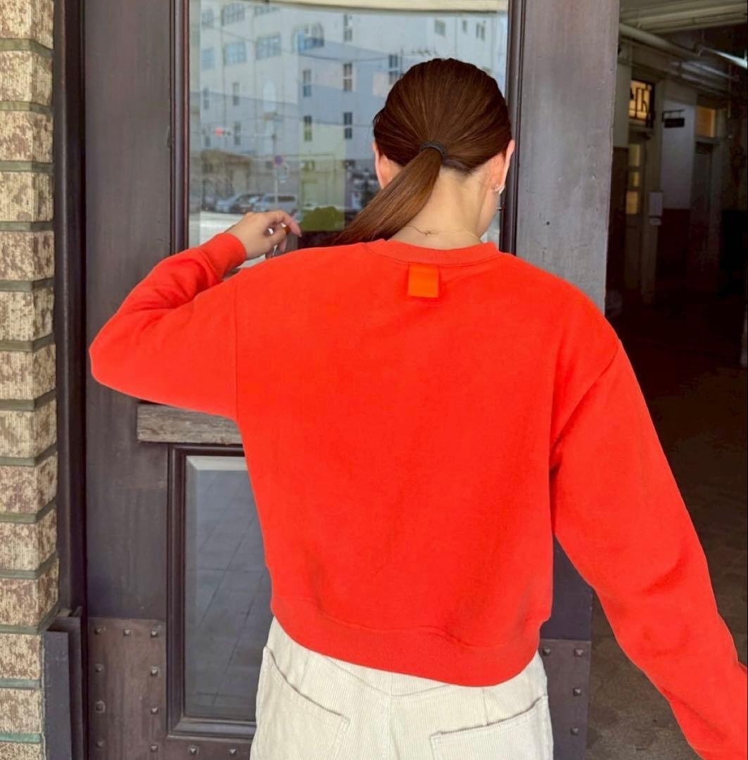 値引き中！！ リンカブル　カラースウェットプルオーバー