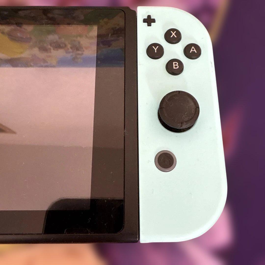 【中古】Nintendo Switch あつまれどうぶつの森セット