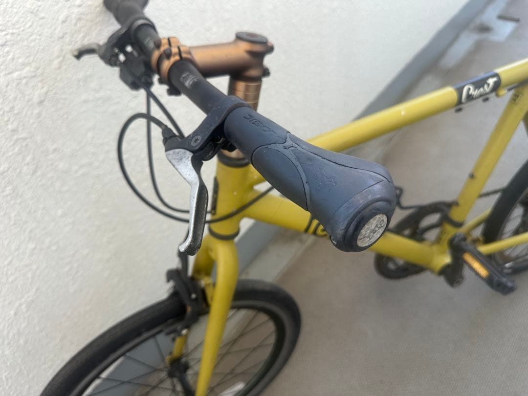 Tern MINIVELO CREST マットオーカー　46