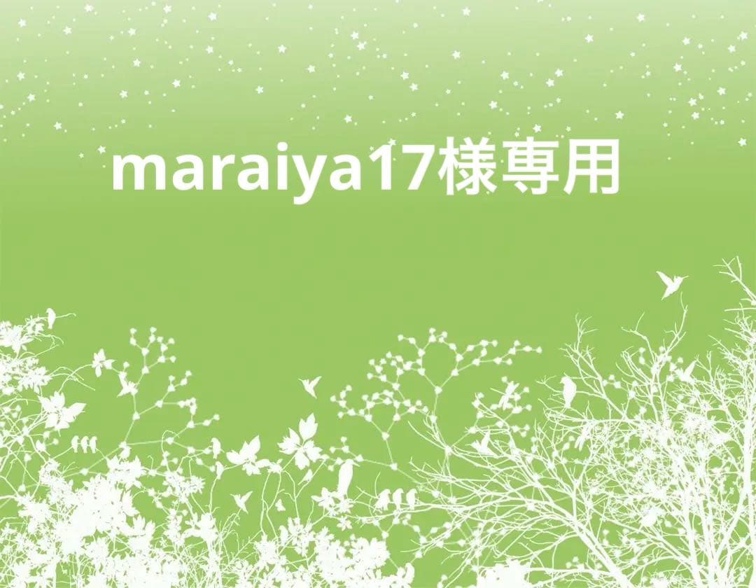 maraiya17　絵皿