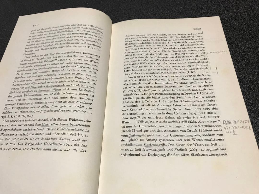 超レア洋書 Schellings Werke.