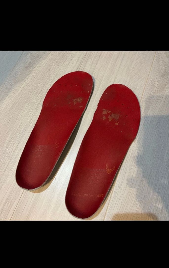 Danner Striker Torrent ストライカー サイズ 26cm