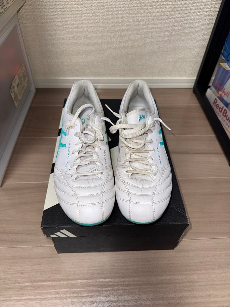 シューズ ASICS DS LIGHT X-FLY 5