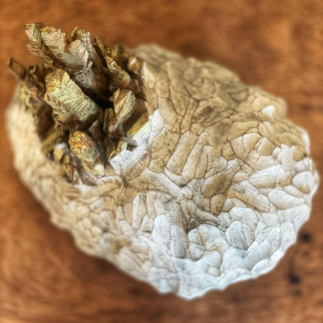 【月末限定セール】大きな幻想生物の彫刻