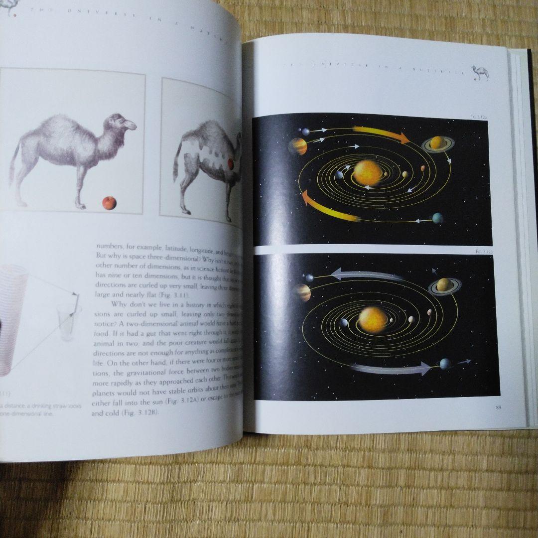 洋書　古本　スティーブン　ホーキング　The Universe inくるみ　宇宙