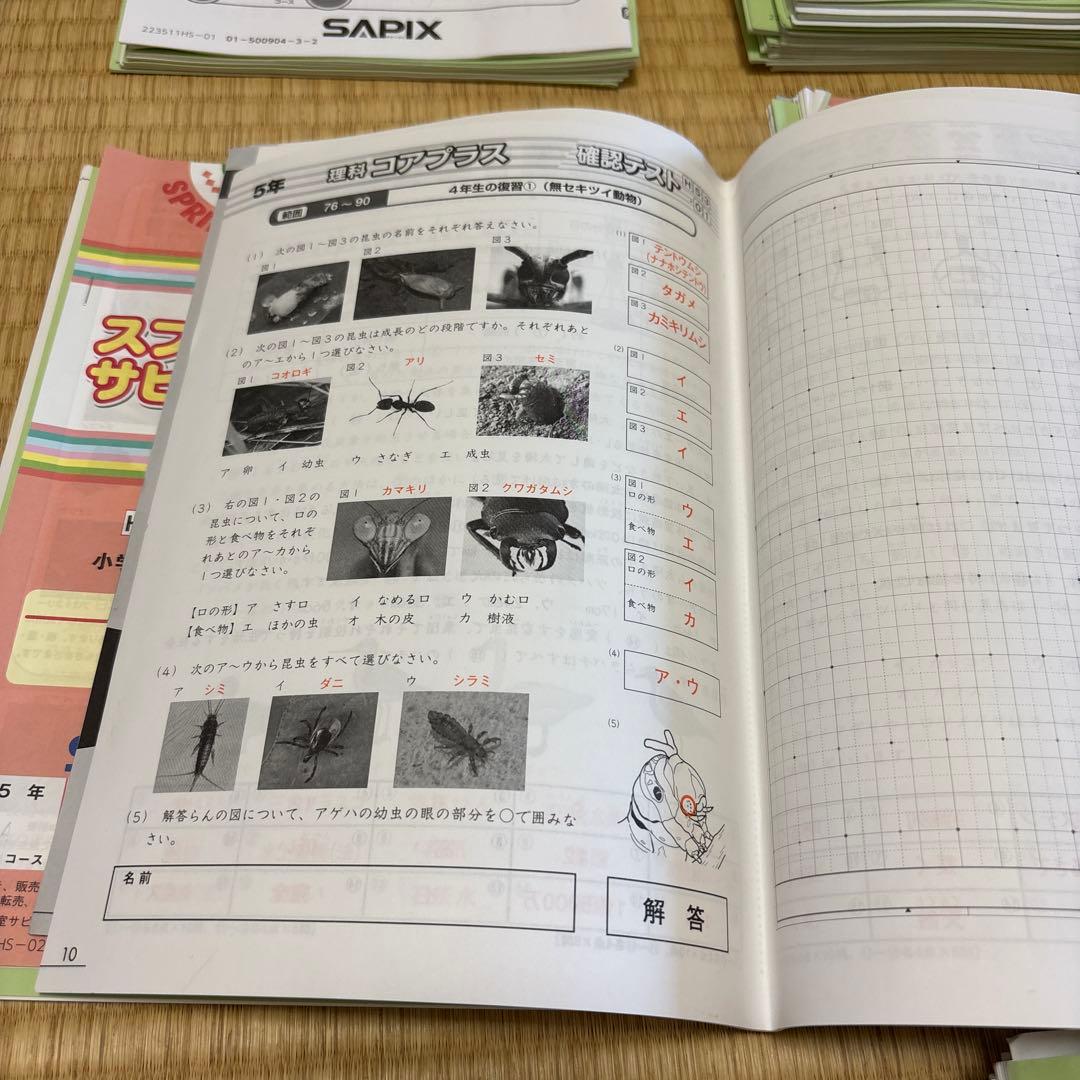 k　⭐︎ サピックス　5年生　平常、春夏冬講習テキスト　一年分フルセット