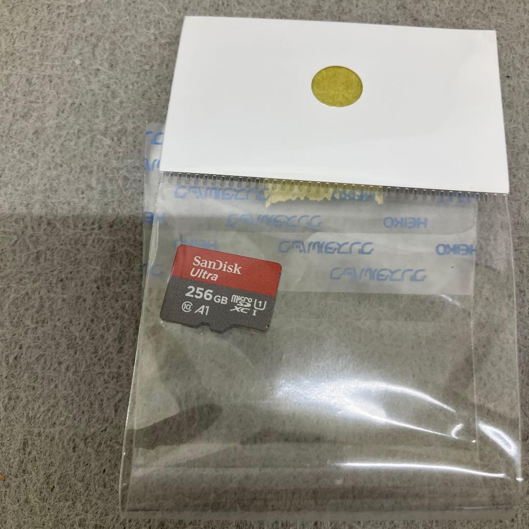 GD7113Nintendo Switch Lite グレー