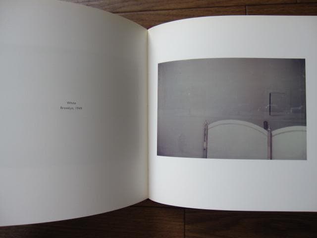 Early Color　Saul Leiter　ソール・ライター