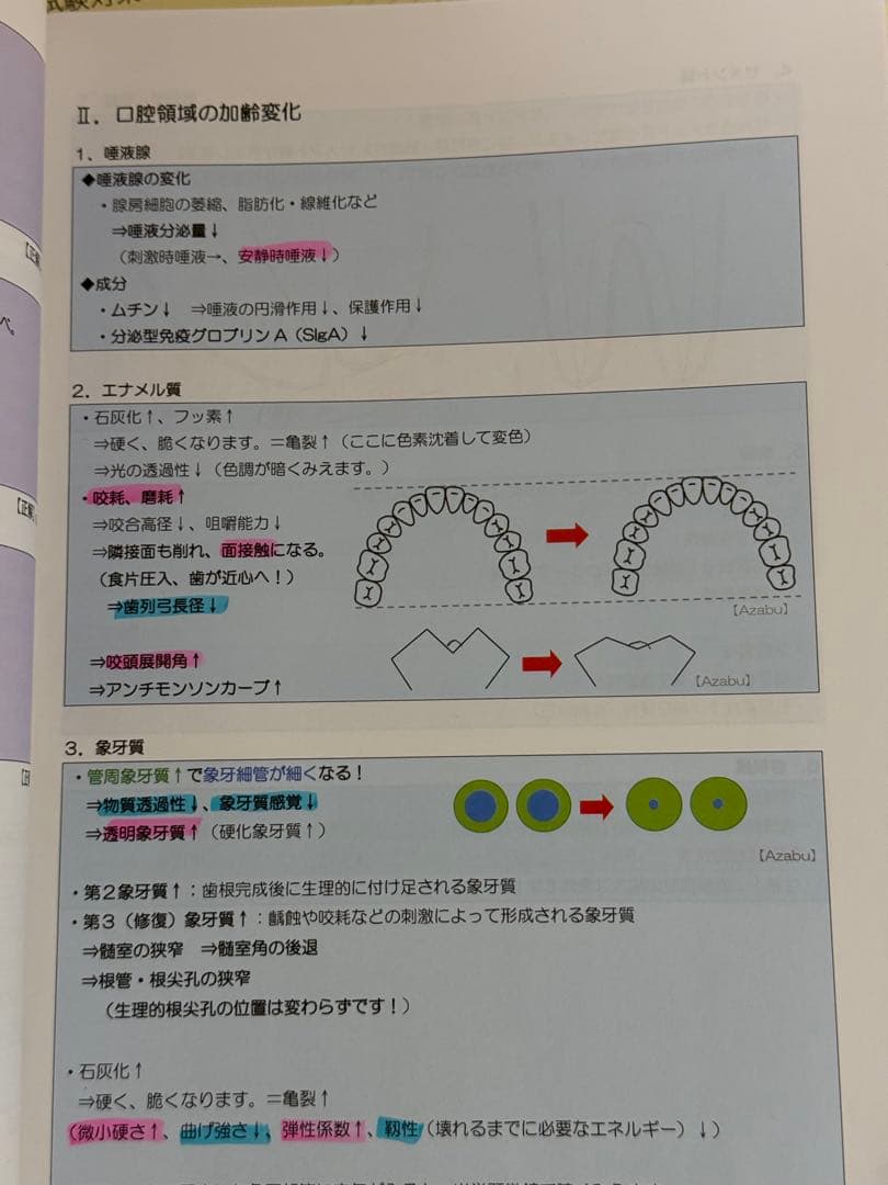 麻布デンタルアカデミー本科コース　歯科医師国家試験