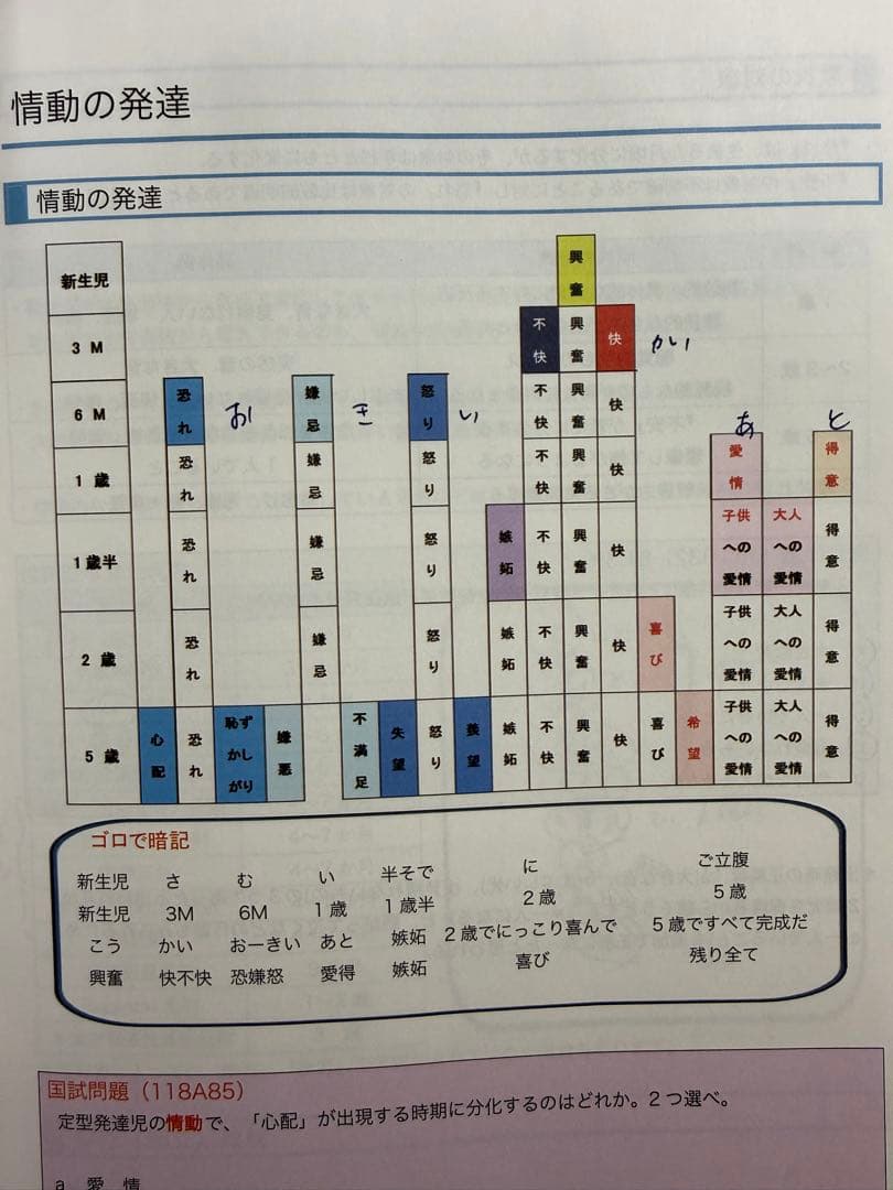 麻布デンタルアカデミー本科コース　歯科医師国家試験