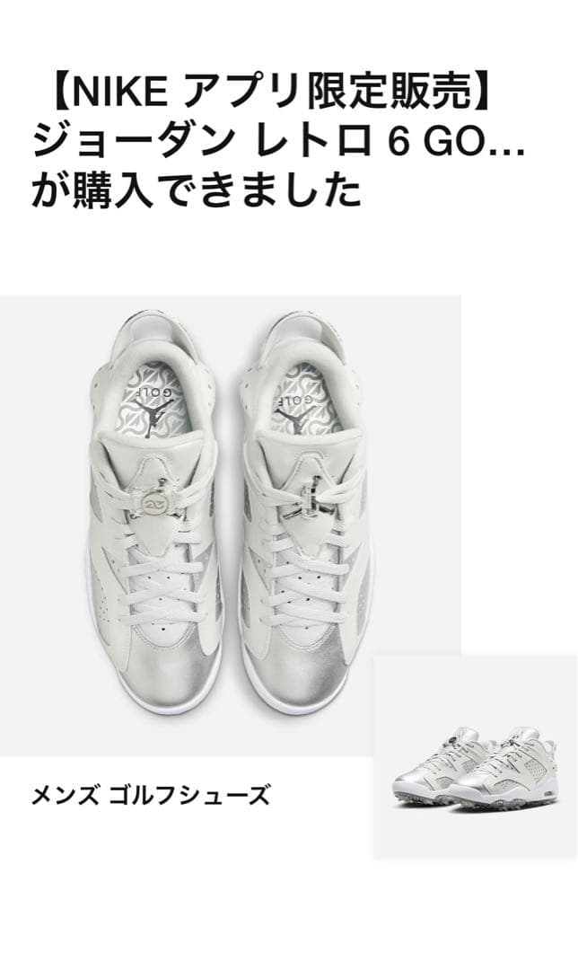 新品ナイキゴルフ ジョーダンレトロ6 GOLF NRG 27.0cm 新品