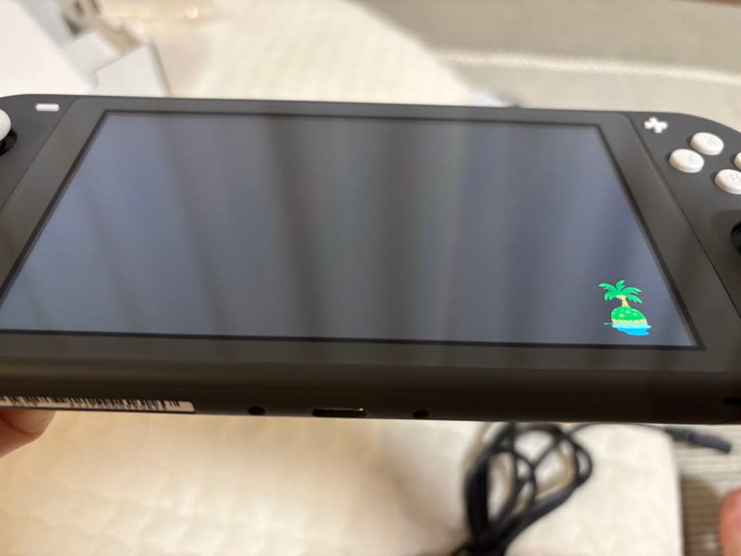 千円引き！セットNintendo Switch Lite あつまれどうぶつの森