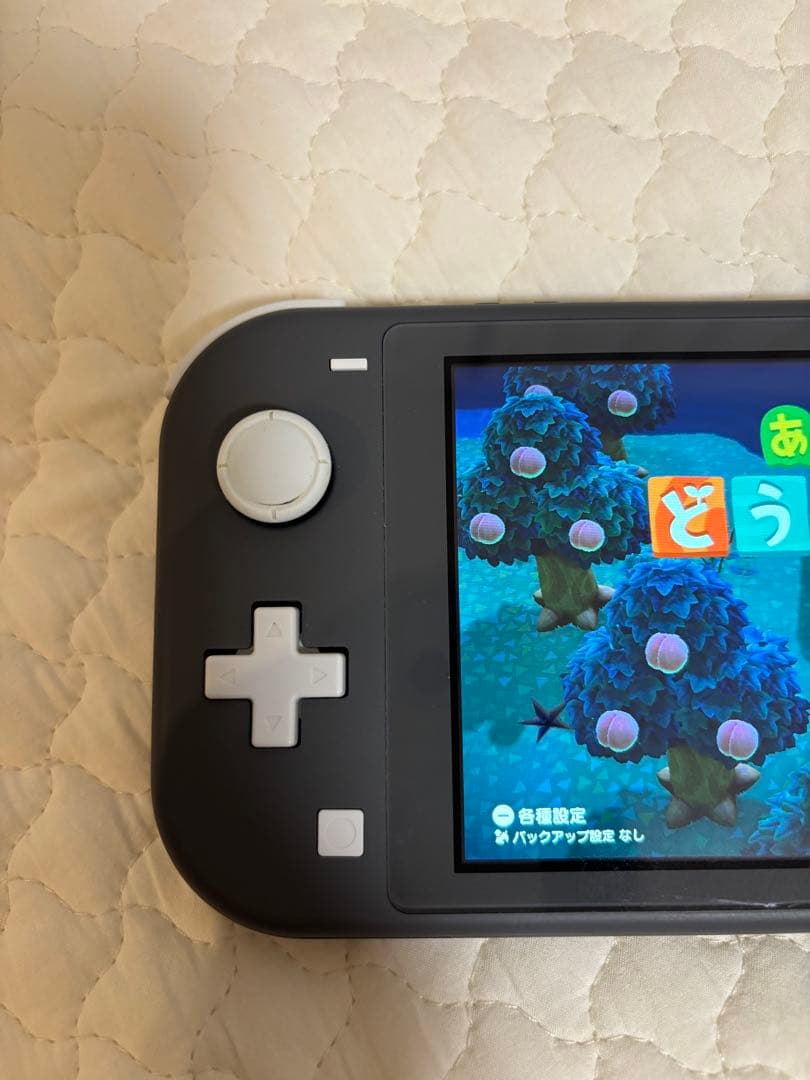 千円引き！セットNintendo Switch Lite あつまれどうぶつの森