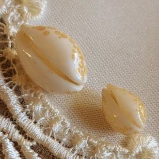 COWRIES　オサナ　カノコ　パパイア　フイリチドリダカラガイ　宝貝　貝殻5個