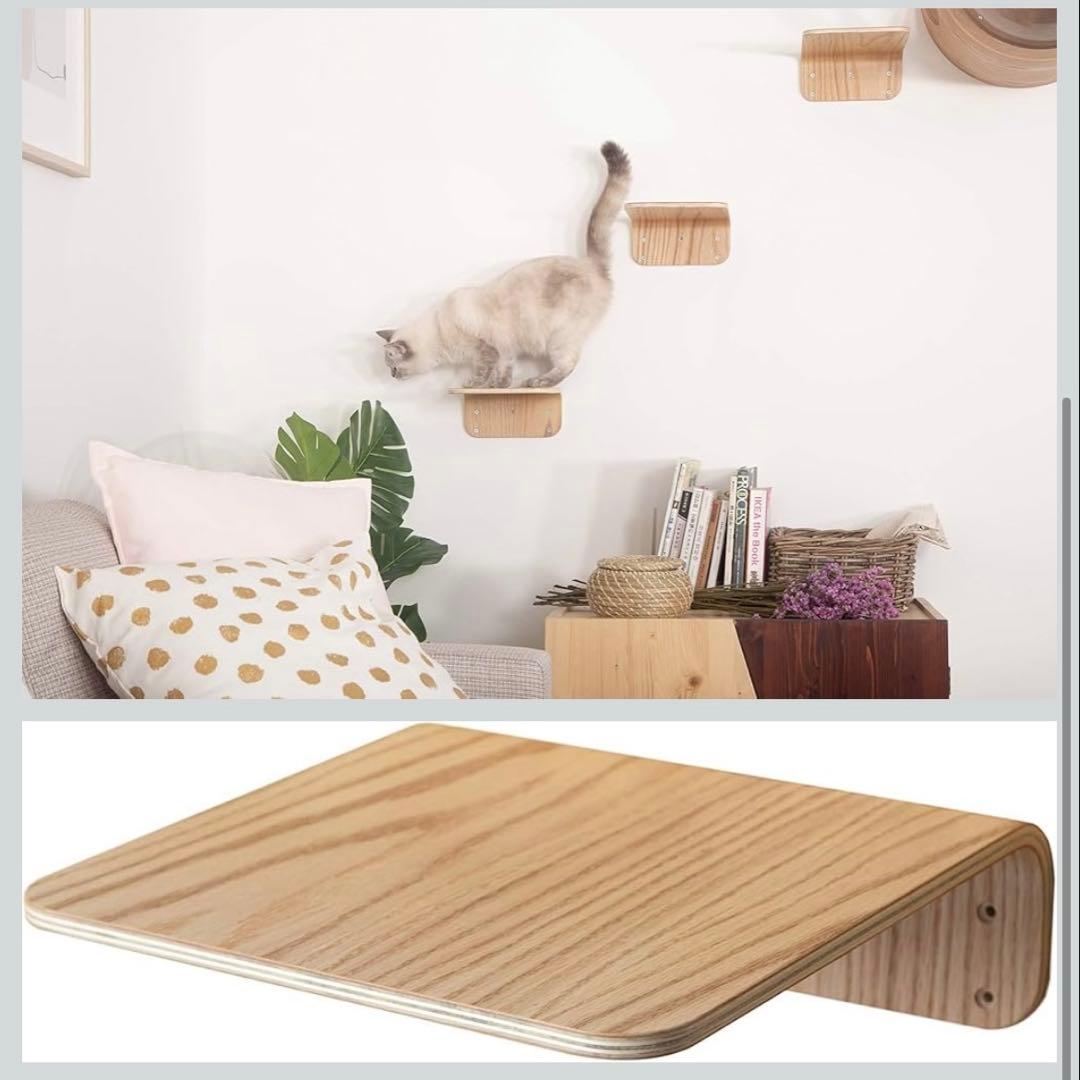 6枚　MYZOO マイズー　猫　キャットウォーク