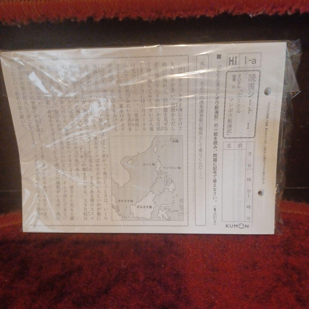 未記入　国語　H1HⅡ　400枚　解答つき