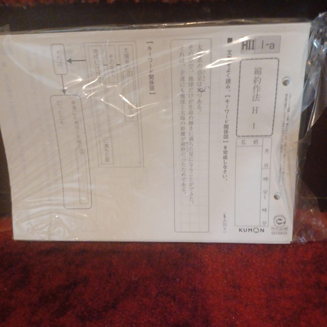 未記入　国語　H1HⅡ　400枚　解答つき