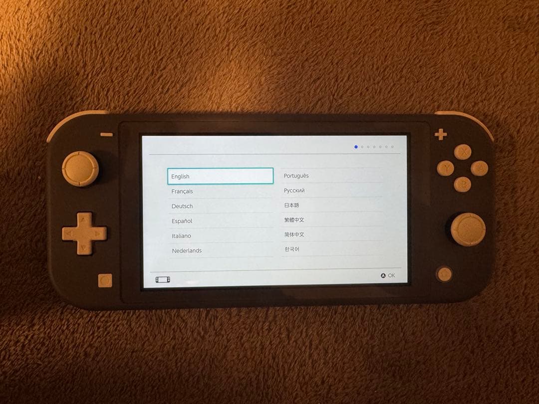 たれみみ　　Nintendo Switch Lite