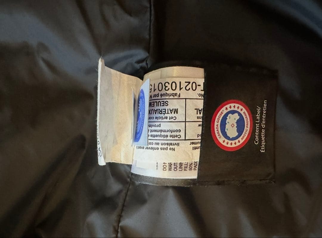   ARCTIC PROGRAM ダウンベスト