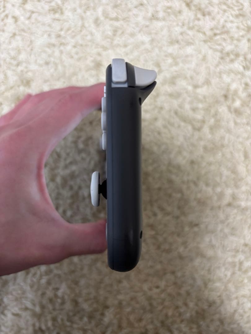 Nintendo Switch Lite グレー 本体 充電器・専用ケース付き