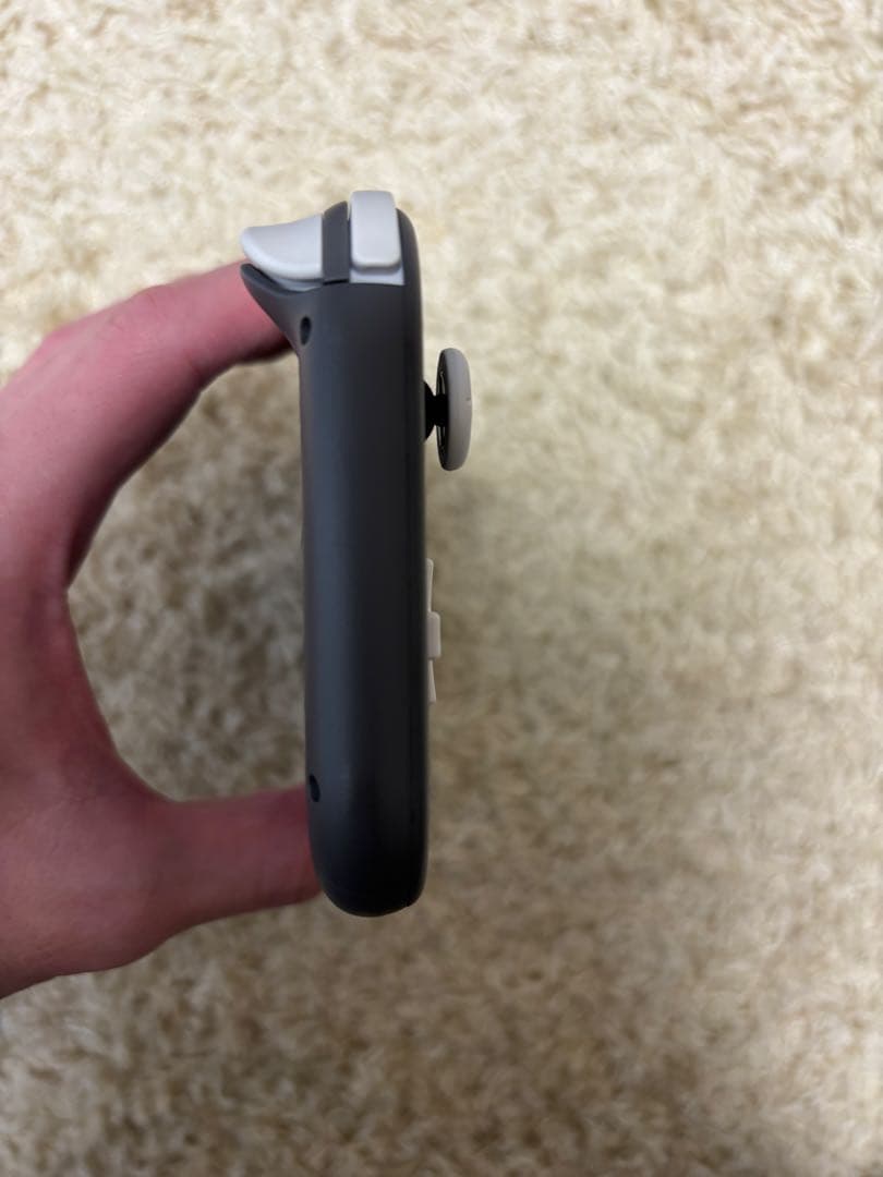 Nintendo Switch Lite グレー 本体 充電器・専用ケース付き