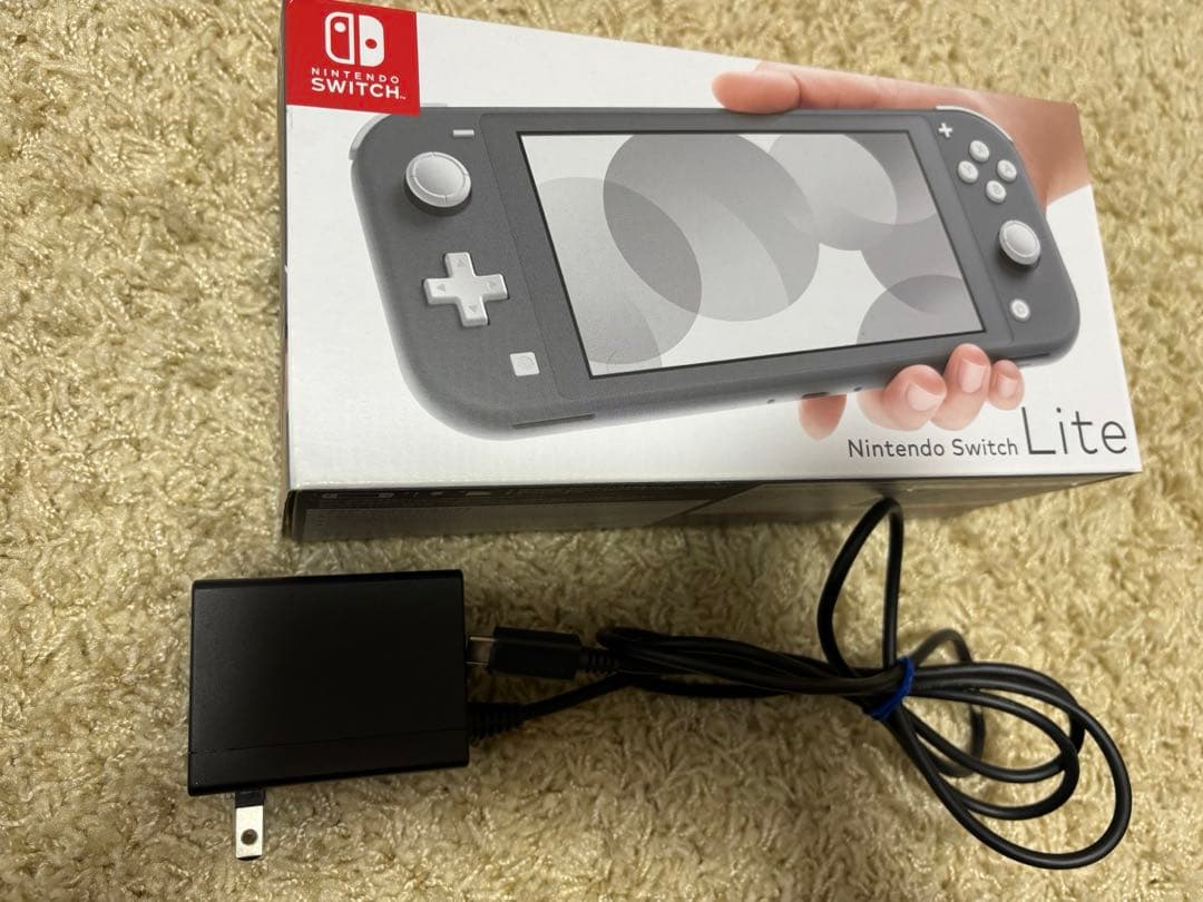 Nintendo Switch Lite グレー 本体 充電器・専用ケース付き