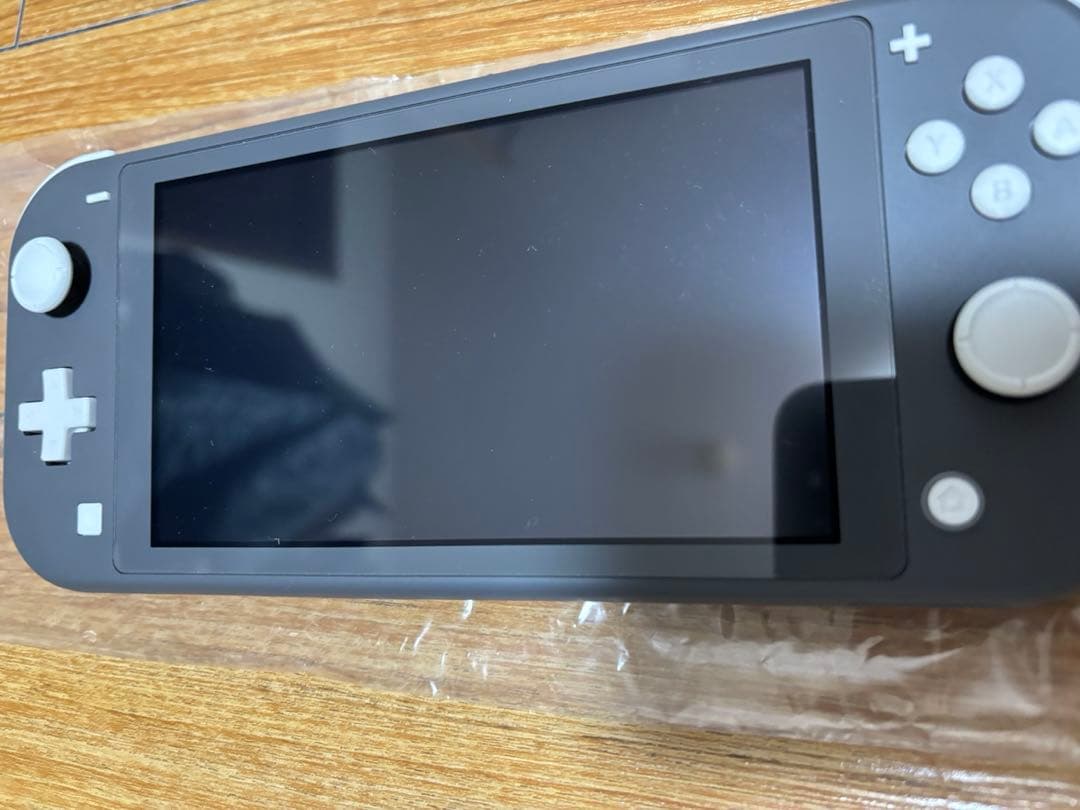 Nintendo Switch Lite グレー 本体 充電器・専用ケース付き