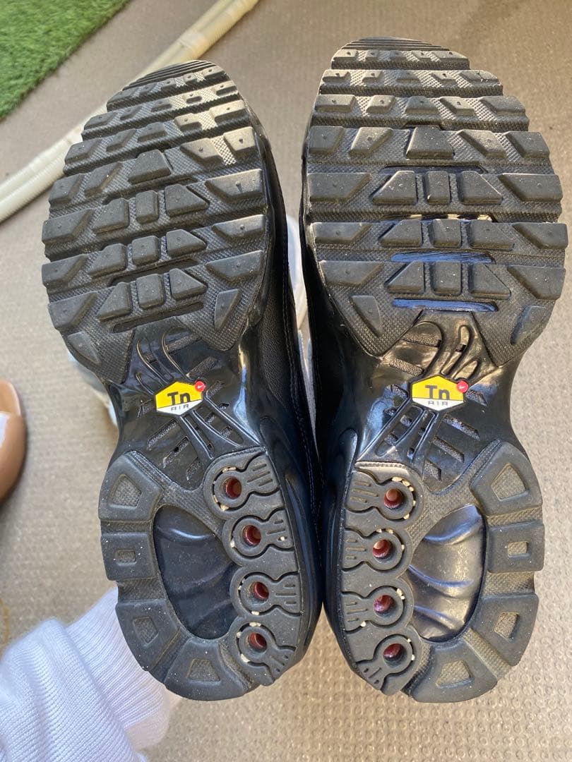 NIKE AIR MAX PLUS TNPO ティエンポ