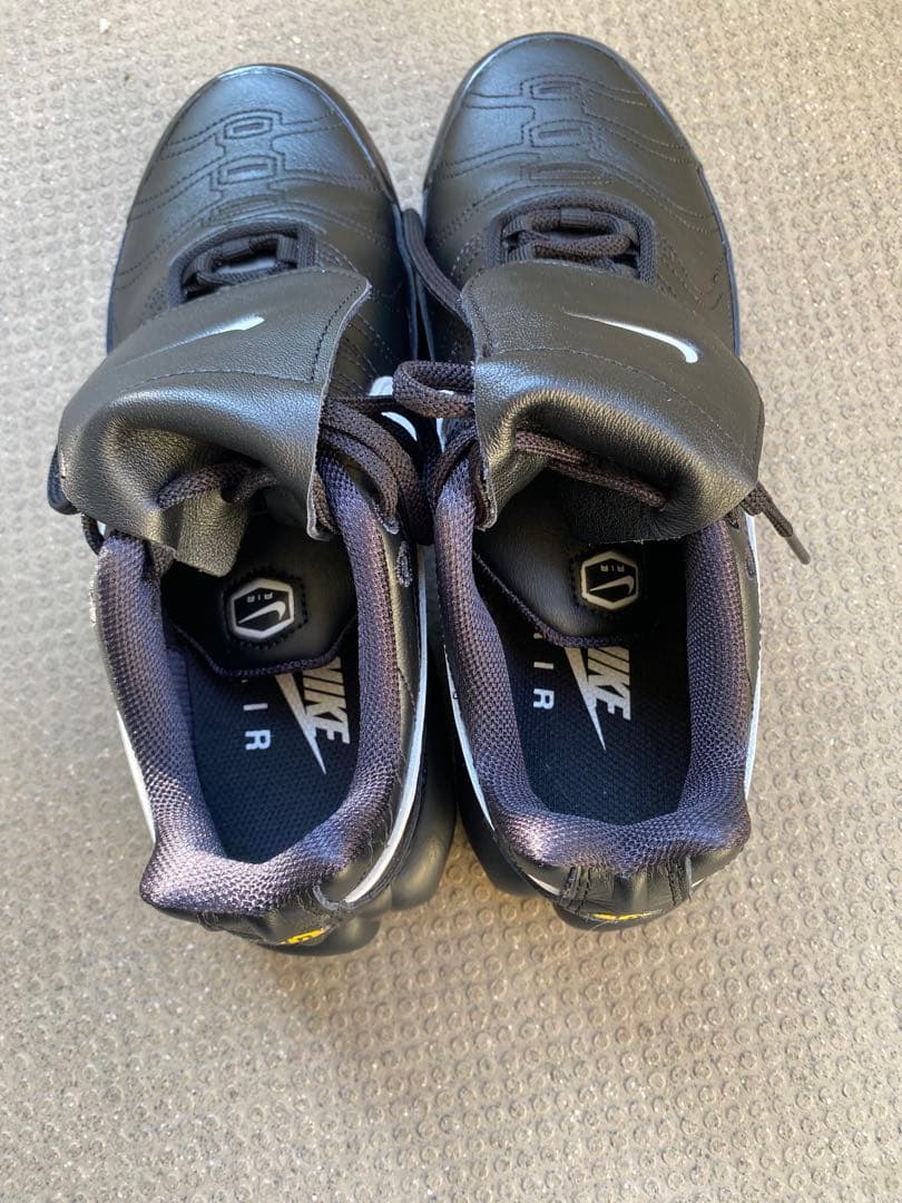 NIKE AIR MAX PLUS TNPO ティエンポ