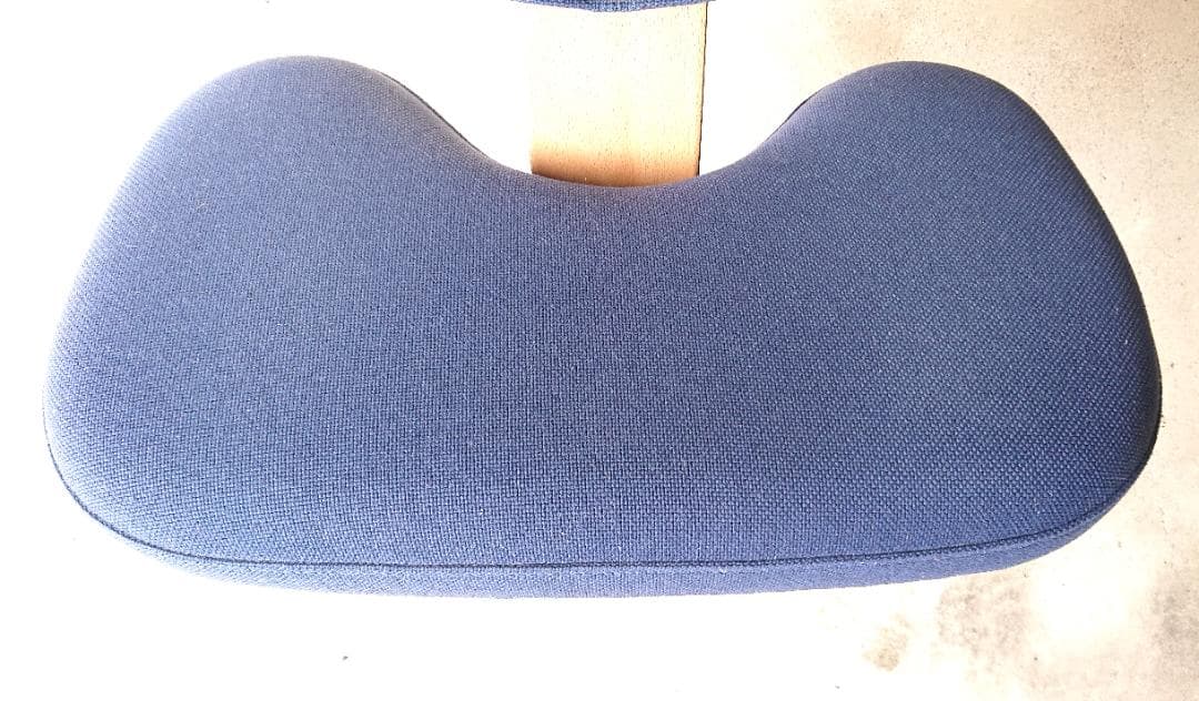 【良品】サカモトハウス バランスチェアイージー 　（ブルー）