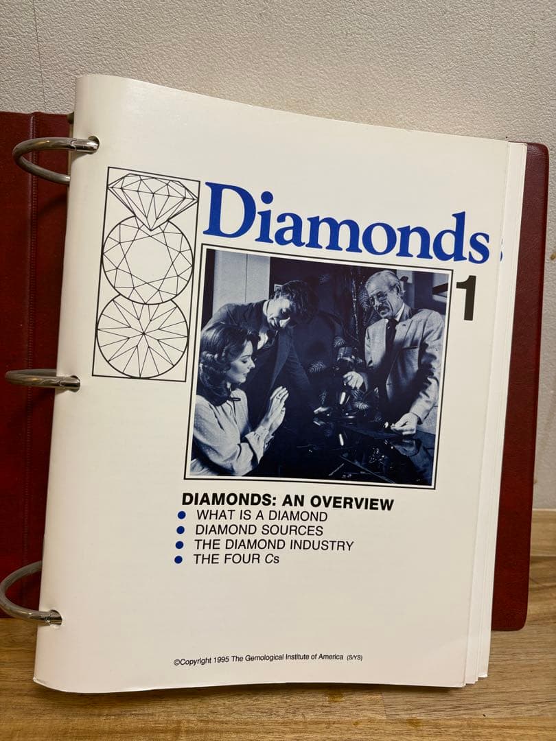 GIA 宝石鑑定　教科書　日本語翻訳付き