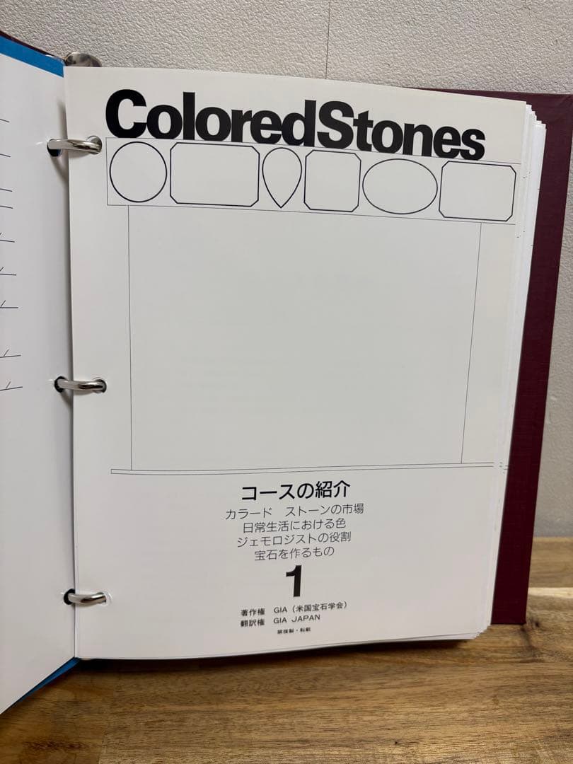 GIA 宝石鑑定　教科書　日本語翻訳付き