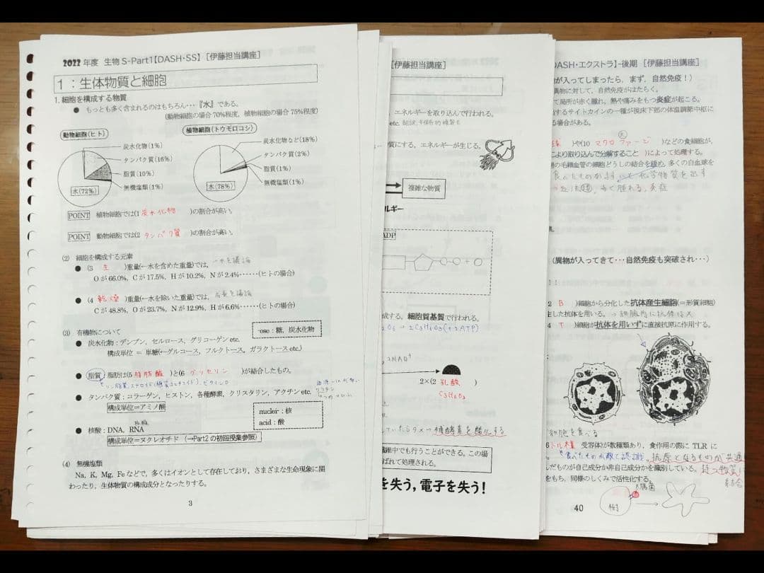 駿台2022年度通期　生物S　授業プリント