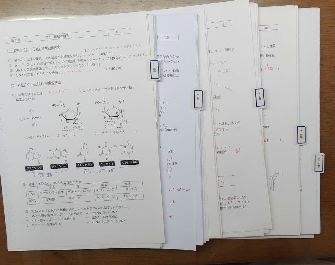 駿台2022年度通期　生物S　授業プリント