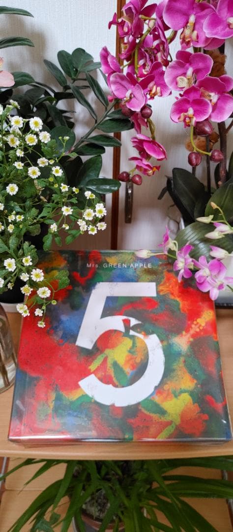 Mrs. GREEN APPLE 5 完全生産限定ボックス