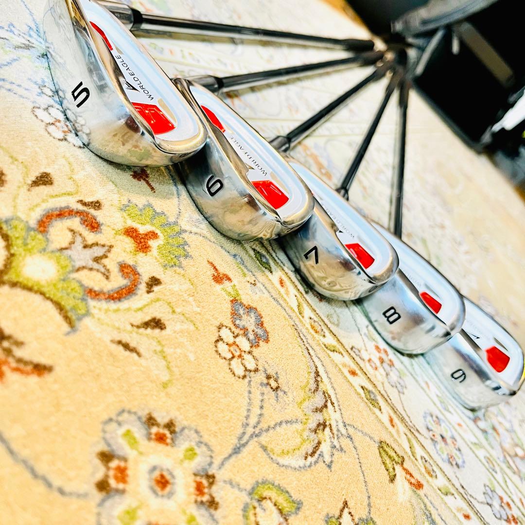 希少 ワールドイーグル WE 5Z-BLACK メンズクラブセット フレックスS