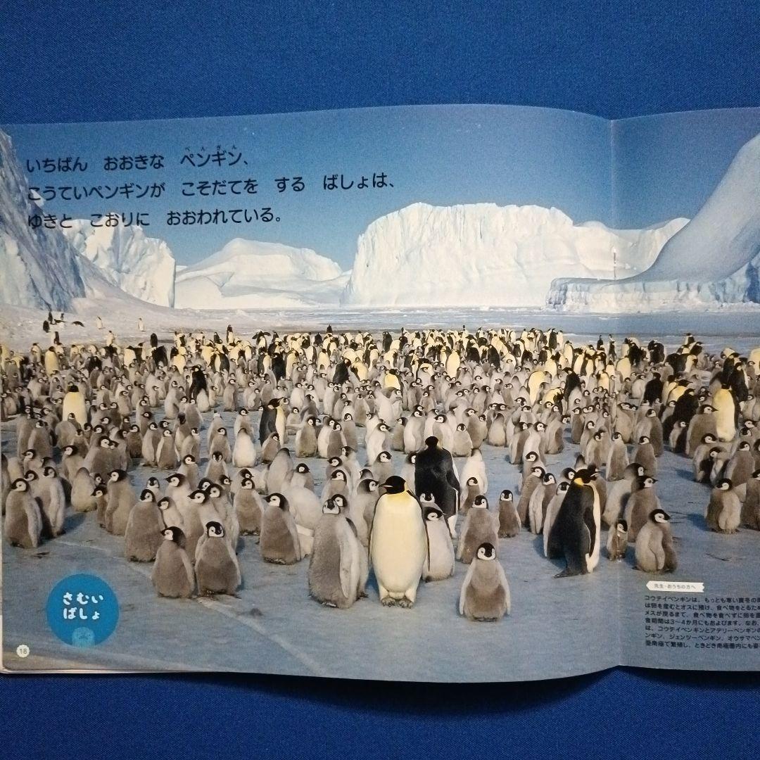 ビッグサイエンス　キンダーブックしぜん　こどものくに　ペンギンさんの絵本　大集合