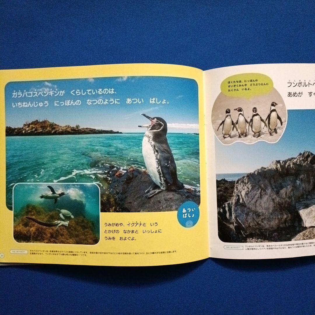 ビッグサイエンス　キンダーブックしぜん　こどものくに　ペンギンさんの絵本　大集合