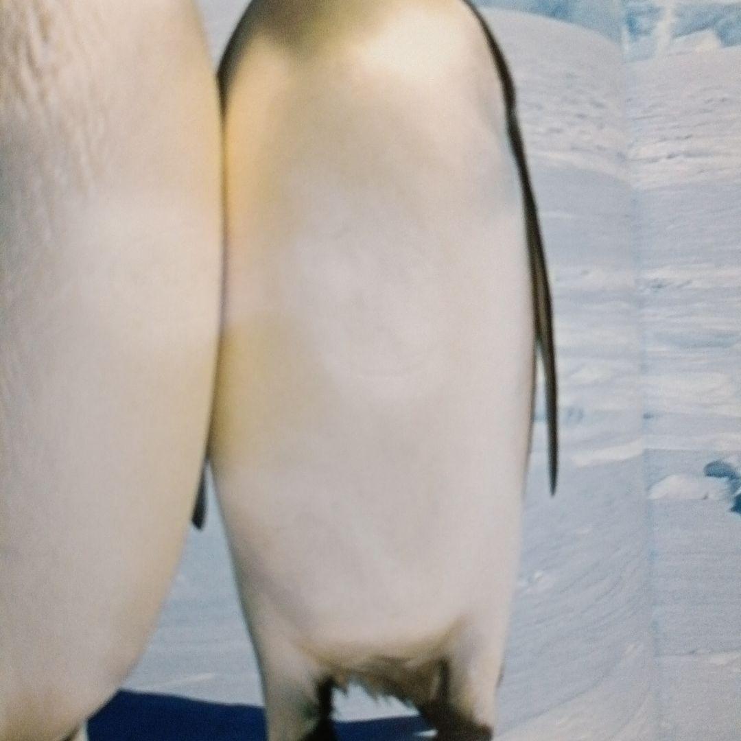 ビッグサイエンス　キンダーブックしぜん　こどものくに　ペンギンさんの絵本　大集合